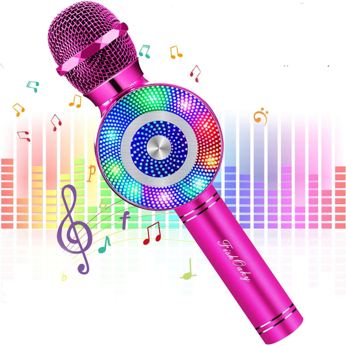 Micrófono portátil para karaoke Premium